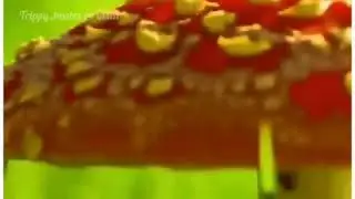 Best LSD TRANCE PSY TRANCE WHATSAPP status FOR WEED TRIPPY STAINED