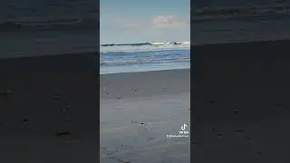 Vilano Beach, FL