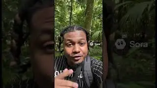 Them cheetas ain&rsquo;t that fast #rainforest #subscribe #music #spotifyclone #hiphop #revolttv #jiggie