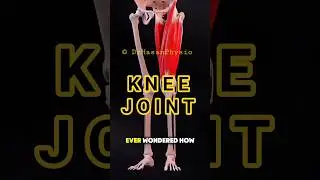 #osteotomy #kneejoint #kneesurgery #trending #shorts #fyp #facts #viral #painrehabb #watch #anatomy