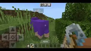 how to make a rainbow sheep in 2023 (Minecraft)