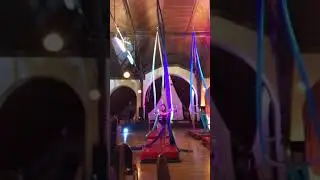 Sky Full of Stars Aerial Silks group act