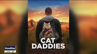 'Cat Daddies' documentary from SMU alumn explores love between men and cats