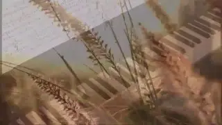 Fields of Gold - Piano