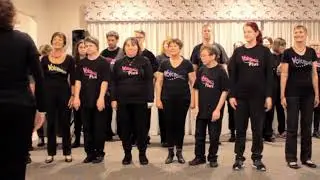 Voice Works Plus