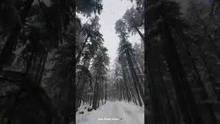 Magical Snowfall in Usho Forest Kalam- Swat Valley 🇵🇰 - Winter wonderland