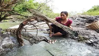 Catching Crocodile using traditional trap-Catch crocodile-catch fish