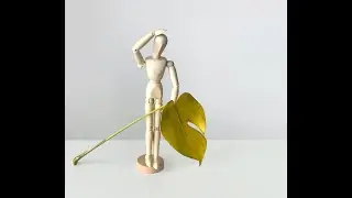 November Mood  🍃  EDM Song Structure
