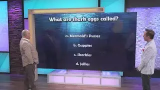 Unscripted Trivia: Shark Week
