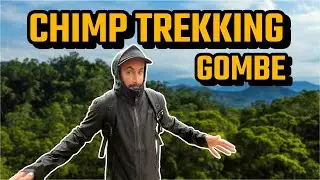 Exploring Gombe: Chimp Trekking & Jane Goodall&rsquo;s House Tour