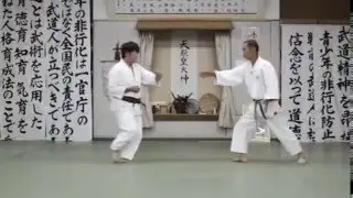 Gyokushin Ryu Aikido