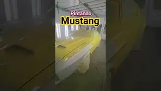 asi ganamos los dolares en nestados unidos!! pintando  carro!! #pintando #mustang