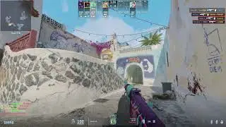 certified bad aim haver