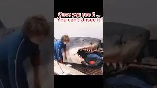 #jaws #film #movie #shark #trending #trend #shortsvideo #shorts #viralshorts #50thanniversary