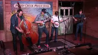 Circus No. 9 - Free Man/ETA - Live at Muddy Creek Music Hall