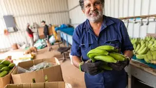 'Twofold' reason for businesses pushing for more migrants