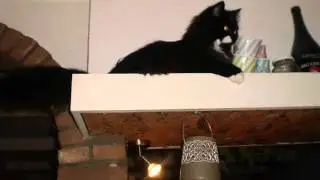 Percy's progress