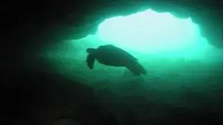 Dive Highlights 11 3 09