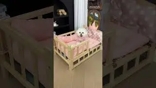 Solid wood pet bed for all sizes! 🐶🐱 High stability & easy setup. 🛏️
