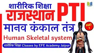 कंकाल तंत्र पार्ट 1 SKELETAL SYSTEM PART1 #PHYSICAL_EDUCATION #Rajasthan_PTI #Anatomy #एनाटॉमी