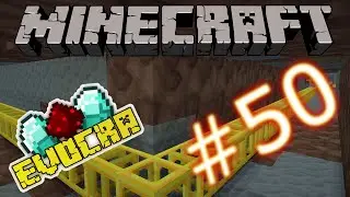 Das Lager Einsortieren EvoCraft # 50 CubeCharsLP