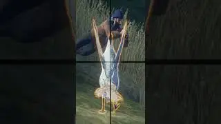 I Scared Rooster SO BAD! Call of the wild #shorts