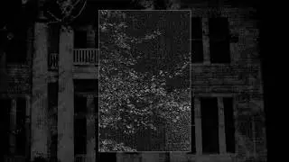 Vestibulum Vacu&uuml;i / Mental Decay [Split 2019]
