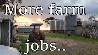 The Great Farm Clean-up Part 20 - Various Repair Jobs, More Scrap Metal & Wheat for the Chooks!