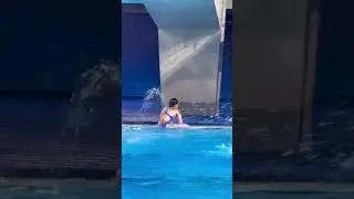 👏Nice dive! Shanghai-born Olympic gold hope Chen Yuxi 陈芋汐 trains in Paris