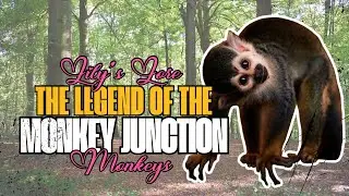 The Legend of the Monkey Junction Monkeys