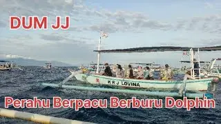 PERAHU BERPACU BERBURU DOLPHIN 🐬