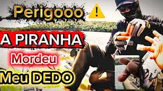 PIRANHA MORDEU A PONTA DO MEU DEDO 😱. Pescaria 