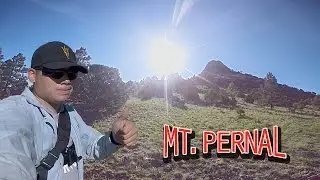 Mt.  Pernal