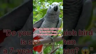 Smartest Bird in the World 🧠🐦#shorts #SmartestBird #AnimalFacts