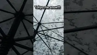 Cherry 🌸 season me heavy snow ❄ fall in Tokyo Japan!!!