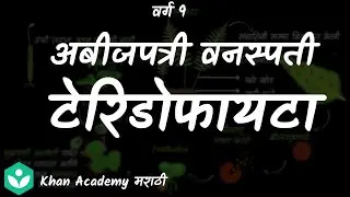Pteridophytes  [Marathi] |Classification of Plants | Grade 9 | Science | Khan Academy