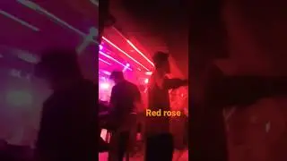 ####red rose 💓❤️###