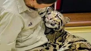 Animal Couldn&rsquo;t Hold Emotions When Hugged By Their Favorite Human | 2025