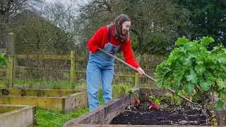 #27 Living the Dream: Harvesting, Planting & Preparing for Baby on Our Homestead