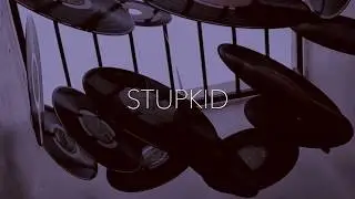Stupkid - Fine