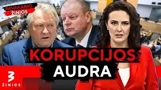 &bdquo;Žaibas i&scaron; giedro dangaus&ldquo;: Skvernelio telefoną konfiskavo, Starkevičius traukiasi i&scaron; partijos