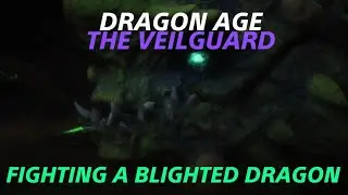 Dragon Age The Veilguard Blighted Dragon Battle
