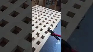 Architecture Student Content