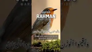 Surah Rahman Arabic Recitation | Most Heart Soothing Voice | سورة الرحمن