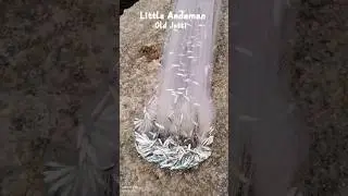 Little Andaman Fishing