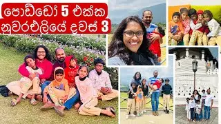 පොඩ්ඩෝ 5 එක්ක නුවරඑලියේ දවස් 3 |. යන්න පුලුවන් තැන් වගේම බජට් එකේ නිදහසේ ඉන්න පුලුවන් තැනක්
