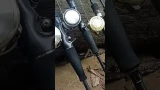 #dlspoon #shimanodc #daiwa #sebarau