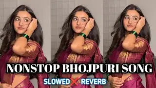 Non stop bhojpuri slowed reverb Song | Non stop bhojpuri song | Bhojpuri song mashup | New LOFI SONG