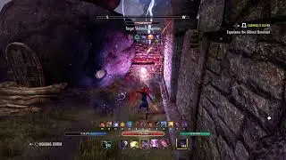 Magic Nightblade DPS Test 41 7k solo self Ele Drain ESO CWC