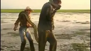 Anaconda vs  Human   YouTube 2